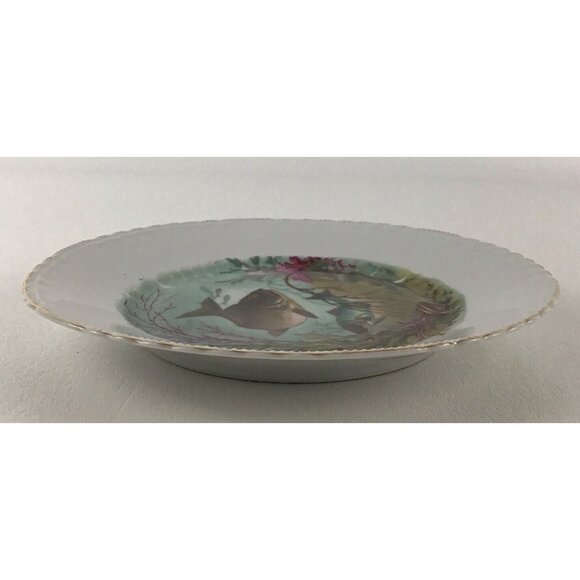 Victoria Austria Schmidt 30 8" Plate Fish Painted Collector Gold Rim Vintage #1 - Picture 5 of 8